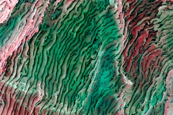 A 79B
